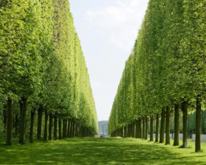 Jardins du Luxembourg