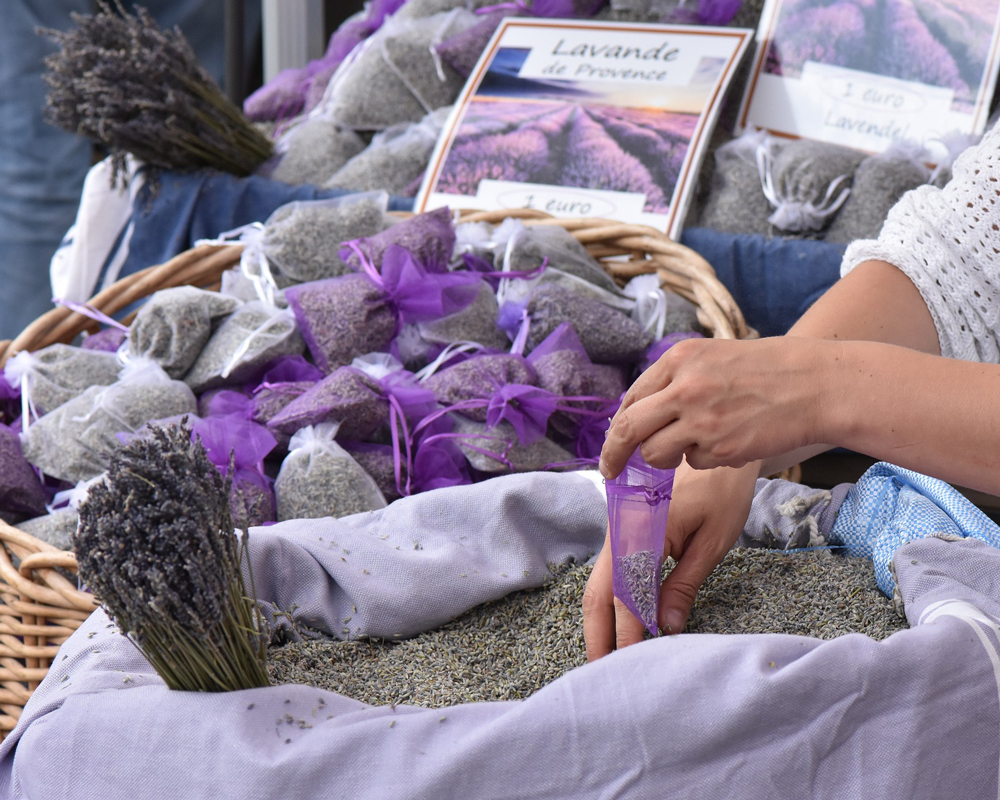woman selling lavender in Aix en Provence