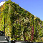 Les Halles Avignon