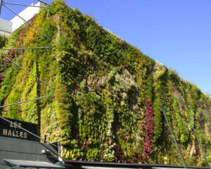 Les Halles Avignon
