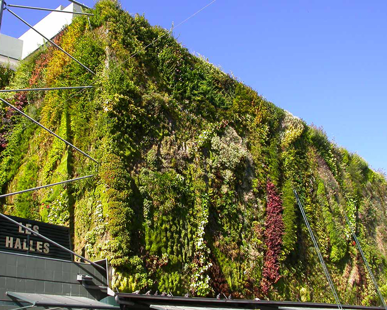 Les Halles Avignon