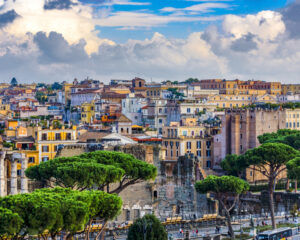 Canopy of trees in Rome