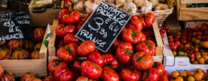 Organic Product - Tomatoes in Provence