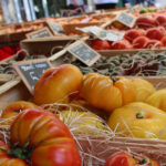 Marché Provença Tomate Toulon