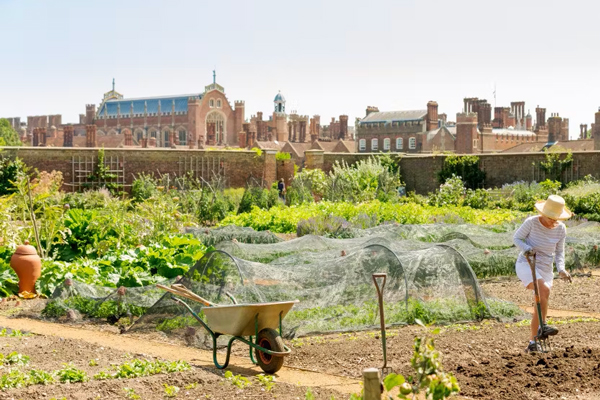 Kitchen Gardens