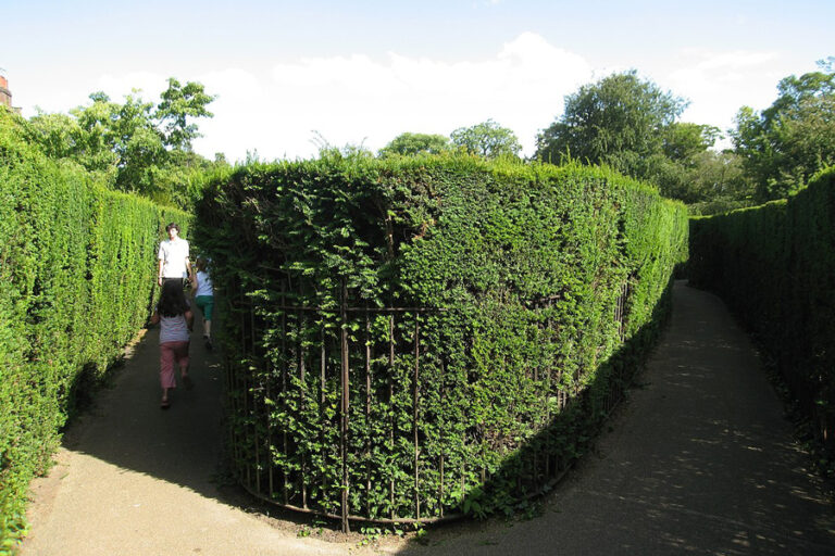 The Maze