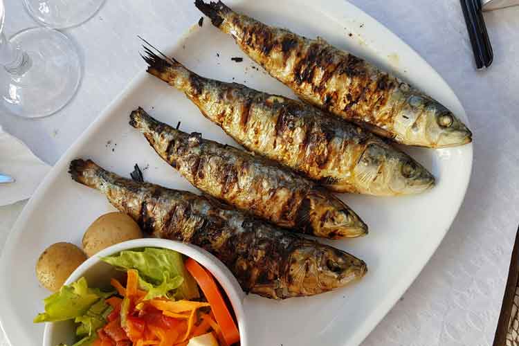 Portugal Lisbon Sardines